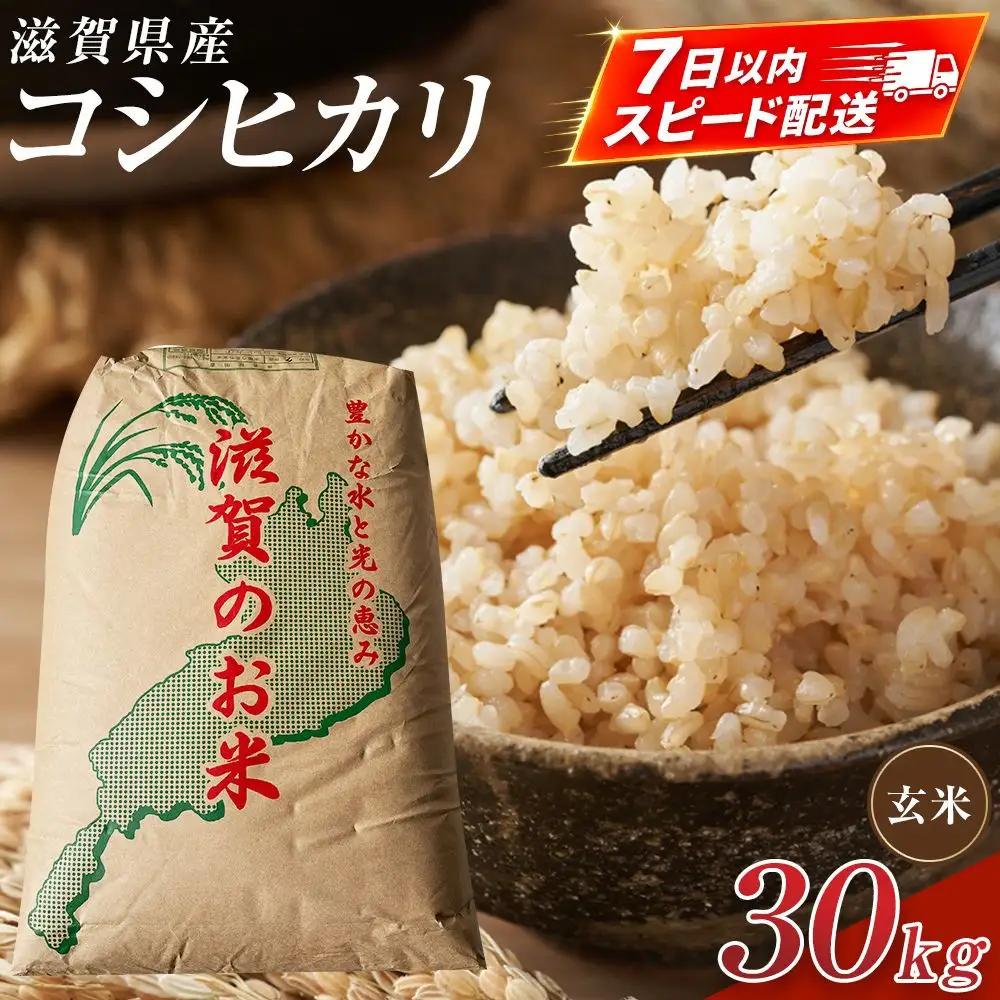 【令和7年産】近江米コシヒカリ玄米30kg