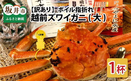 【12月発送】【先行予約】【訳あり】越前がに（大）1杯 1kg前後 越前ズワイガニ [K-4303_12]