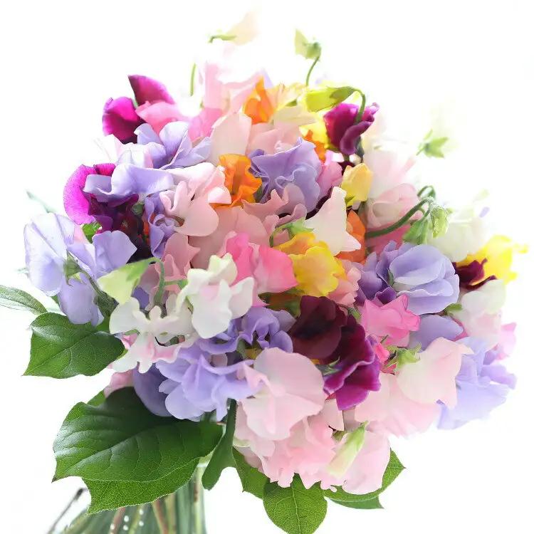 季節の花束と花瓶のセット　Mサイズ【季節の花束と花瓶 Mサイズ 世界らん展 フラワードリームジャパンカップ 国内主要コンテスト受賞 贈り物 フラワーライフ 生活の彩 お部屋の彩 神奈川県 小田原市 花