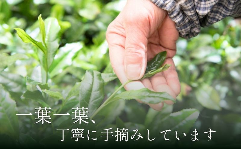 京の名匠 山下壽一作 最高傑作玉露 屋敷の茶8g×18個入