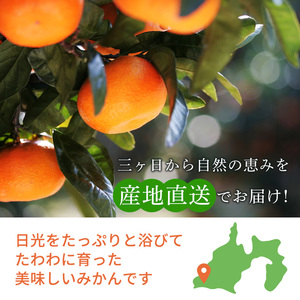 【2027年3月上旬より順次発送】三ケ日みかん「誉れ」 約4kg
