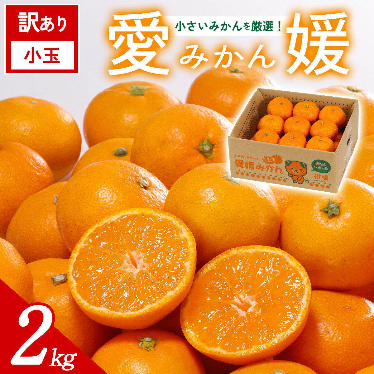 【ふるさと納税】【先行予約】＜訳あり 愛媛県産 小玉みかん 合計約2kg＞ 『2026年11月以降順次出荷予定』 甘さ凝縮 フレッシュ ご家庭用 ご自宅 蜜柑 果肉 お試し 果物 柑橘 フルーツ オレンジ 国産 濃厚 果汁 産地直送 ミヤモトオレンジガーデン 愛媛県 西予市【常温】