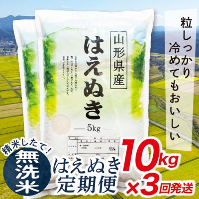 ふるさと納税 最上町 【毎月定期便】買い忘れなしで美味しいはえぬき10kg(無洗米)が届く全3回