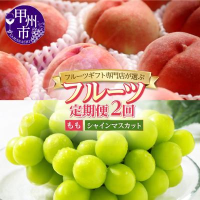 ふるさと納税 甲州市 【発送月固定定期便】フルーツギフト専門店が選ぶ甲州市の厳選フルーツ定期便　全2品種全2回