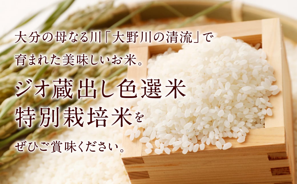 大分県 豊後大野市産 大分県選択銘柄登録品種 「恋の予感」ジオ蔵出し色選米 特別栽培米 10kg (5kg×2袋) 米 精米