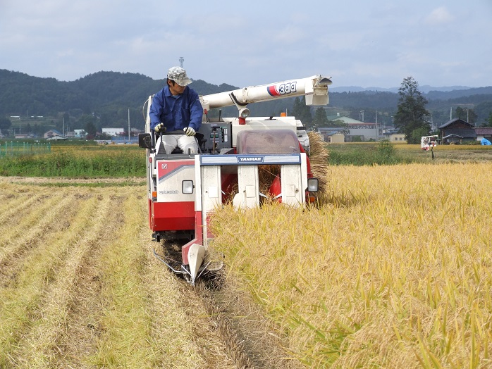 【 3ヶ月定期便 / 令和6年産 】 つや姫 5kg ( 1袋 ) / 月 計 15kg 米沢産 2024年産