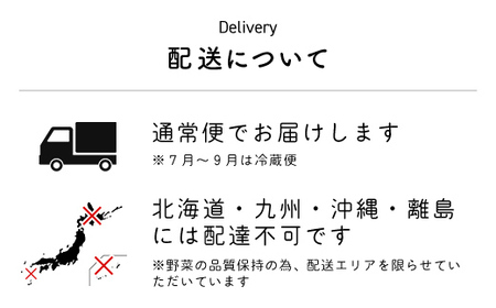 【3ヶ月 定期便】農家直送！【栽培期間中農薬不使用】季節の新鮮野菜「９品」詰め合わせセット オーガニックファーム AIBA FARM TML002 / 野菜セット 無農薬 野菜 千葉県 富里市 直送野