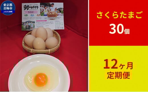 【定期便】かわなべ鶏卵農場のこだわりのたまご　さくらたまご30個　12ヶ月連続お届け [№5714-0141]
