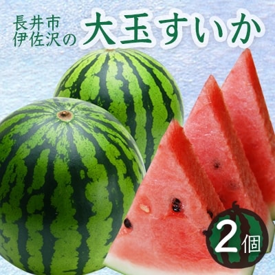 【2024年7月～8月発送分先行受付】長井市伊佐沢の大玉すいか約8～11kg×2玉_H054(R6)