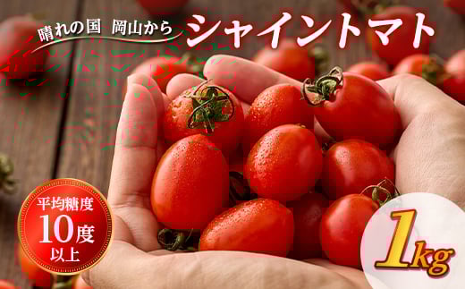 シャイントマト　1キロ 500g×2袋【1607127】