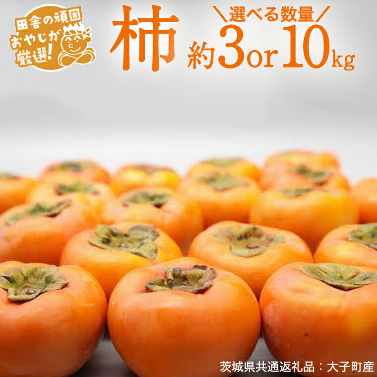 【ふるさと納税】＼ 選べる内容量 ／柿 約3kg～約10kg【2026年10月より発送開始】（茨城県共通返礼品：大子町産）柿 かき カキ 果物 フルーツ 茨城県産