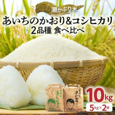 ふるさと納税 碧南市 【潮かぶり米】令和6年産 あいちのかおり&コシヒカリ2品種 食べ比べ10kg　H073-005 | 