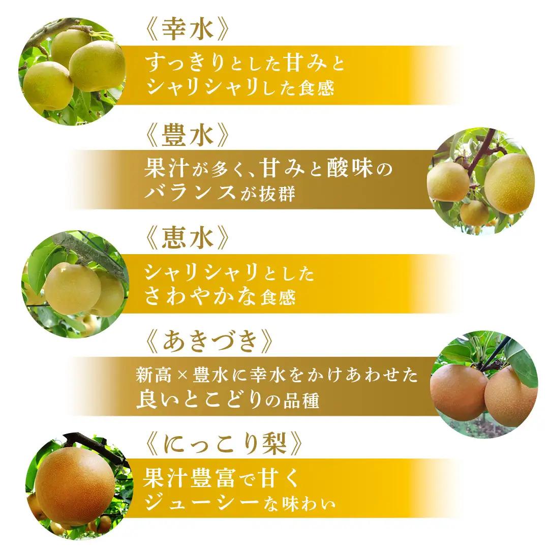 幸水 約 5kg （8～14玉） 2026年産 先行予約 梨 果物 フルーツ なし ナシ 幸水梨 くだもの デザート 茨城 [BQ019sa]