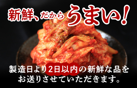 定期便 白菜キムチ 1kg × 6回 大好評 韓国【毎月配送コース】
