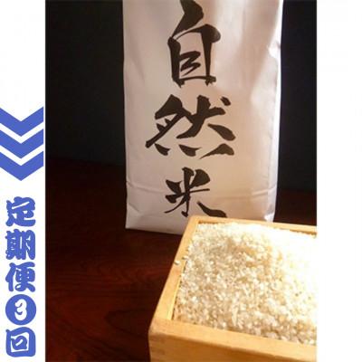 ふるさと納税 香取市 【毎月定期便】自然米 (白米3.8kg)全3回 | 