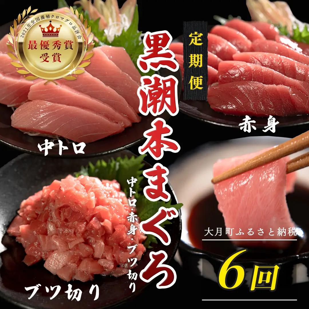 訳あり 不定貫 定期便6回 日本一!黒潮本まぐろ 中トロ・赤身・ブツ切り 3種セット (PT0080_0541)