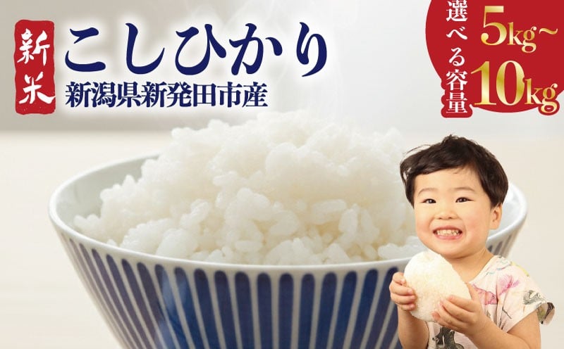 
            【新米】コシヒカリ 選べる 5kg 10kg 新潟県 米 こめ 白米 ご飯 おにぎり 5kg こしひかり 新発田産 新発田市 新潟 野口政一商店 noguchi003P
          