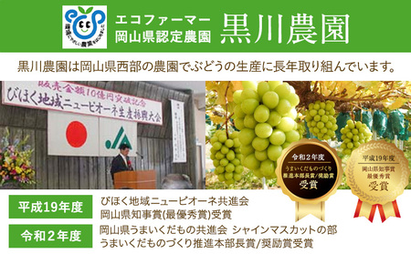 シャインマスカット 約600g以上 (1房) 黒川農園【先行予約】《10月上旬-11月中旬頃出荷》 ぶどう 送料無料 岡山県 浅口市 ぶどう フルーツ 果物 くだもの【配送不可地域あり】