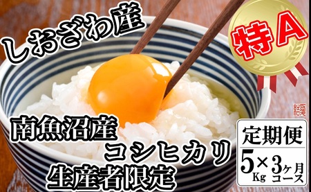 【定期便／5kg×3ヶ月】生産者限定 契約栽培 南魚沼しおざわ産コシヒカリ