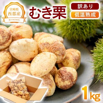 ふるさと納税 西都市 【訳あり】宮崎県西都市産　低温熟成生栗(むき栗)1kg【先行受付】 [2307]