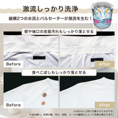 ふるさと納税 川崎市 Hisens【標準設置費込み】10kg 洗剤自動投入機能付き全自動洗濯機 HW-DG10XH |  | 02