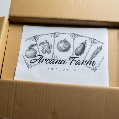 ふるさと納税 南国市 【毎月定期便】新鮮野菜 計9〜11品目全12回 |  | 01