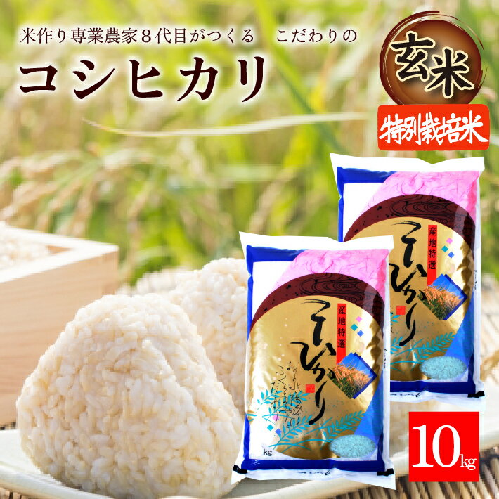 【ふるさと納税】≪新米予約≫ 玄米 特別栽培米 コシヒカリ 計10kg 5kg×2袋 令和7年産米 山形県産 ご希望時期頃お届け 米 庄内米 ごはん ご飯 農家直送 産地直送 東北 山形県 酒田市 庄内 発送時期が選べる