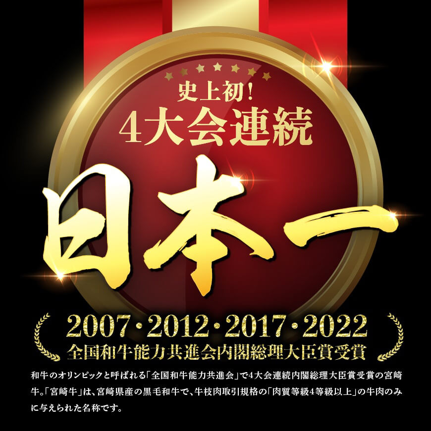 【6ヶ月定期便】 「 宮崎牛 」と「 宮崎県産豚 」 定期便Ｃ　牛肉 定期便[D0678t6]