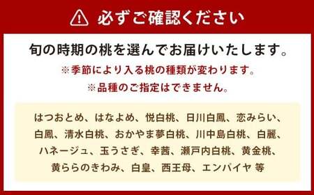 19種類の桃を育てる！ モモナピーチファームの桃 1.5kg（5～7玉） 【2025年6月上旬から10月下旬迄発送予定】 ／ 桃 もも モモ ピーチ 白桃 はくとう 清水白桃 白鳳 恋みらい 旬の桃 