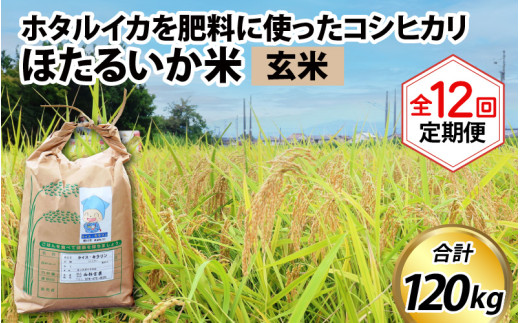 【訳あり】ほたるいか米（玄米10kg）×12回 計120kg【12ヶ月定期便】令和7年産 訳あり 米 コシヒカリ こしひかり 頒布会 産直 ほたるいか ホタルイカ お米 ブランド米 富山 滑川 農家直送 お米 おこめ こしひかり ホタルイカ 蛍烏賊 富山県 滑川市 コンシェルジュ 訳あり　kome 10キロ ごはん おにぎり