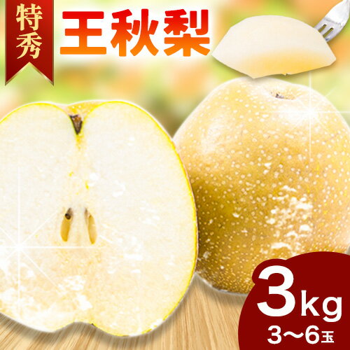 【ふるさと納税】梨 王秋梨 (特秀) 3kg 4L〜5Lサイズ 3〜6玉入り あきやま園 《2025年11月上旬〜2026年1月中旬末頃より出荷予定》鳥取県 八頭町 送料無料 なし フルーツ 果物 旬 梨 お取り寄せフルーツ