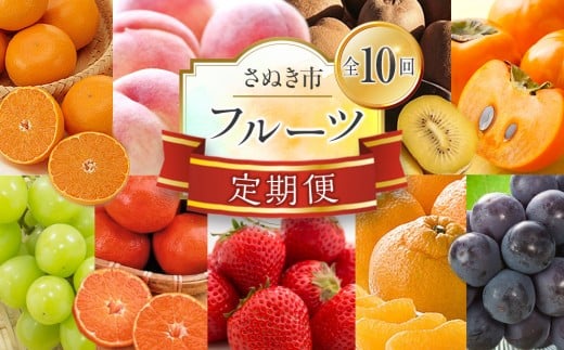 
            【定期便全10回】さぬき市 フルーツ定期便 (さぬきひめ 桃 ニューピオーネ シャインマスカット さぬきゴールド 柿 小原紅早生みかん デコポン せとか)【苺 いちご 葡萄 ぶどう キウイ 旬 人気 果物 くだもの 柑橘 フルーツ 香川県】
          