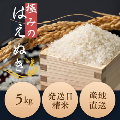ふるさと納税 新庄市 新米　極のはえぬき(精米)5kg　令和8年産