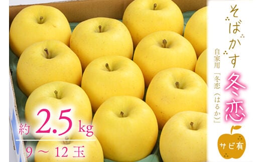 
										
										【先行予約】数量限定 そばかす「冬恋」（自家用「冬恋」サビ有） 約2.5kg【冬恋研究会】 (AI009)
									