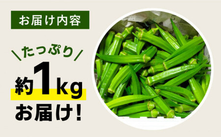 【☆先行予約☆】 【朝採れ旬野菜】オクラ 約1kg ＜パッパラパー農園＞ [CFI001]