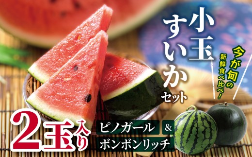 【先行受付：7月発送】小玉すいかセット（ボンボンリッチ＆ピノガール）2玉入り │ すいか スイカ ボンボンリッチ ピノガール 野菜 夏 果物 新鮮 自然 甘い 美味しい 波田 長野県 信州 松本 ふるさと納税