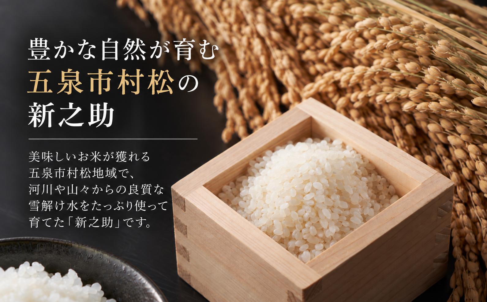 丹精込めた村松米 新之助の大粒に、ほどよい甘みとコク