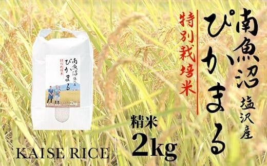 
南魚沼産塩沢コシヒカリ【従来品種】（特別栽培米８割減農薬）精米２ｋｇ
