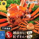 【ふるさと納税】≪浜茹で≫ ずわいがに 食べ比べ セット 越前がに 300～500g × 1杯 紅ずわいがに 200～300g × 2杯 かに酢 食べ方しおり スプーン付き【11月発送分】【かに カニ 蟹 ズワイガニ 福井県 冷蔵】希望日指定可 備考欄に希望日をご記入ください [e04-x024_11]