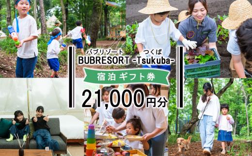 家族で感動体験！ BUB RESORT Tsukuba 利用クーポン券 ( 21000円分 ）【 茨城県 つくば市 関東 グランピング 宿泊券 宿泊チケット 宿泊補助券 宿泊利用券 キャンプ リゾート 大自然 体験 体験型 アクティビティ 宿泊 家族 子供 子連れ ファミリー 食事 フレンチ ニューオープン バブリゾート BUB BUBRESORT サウナ 夏休み 】