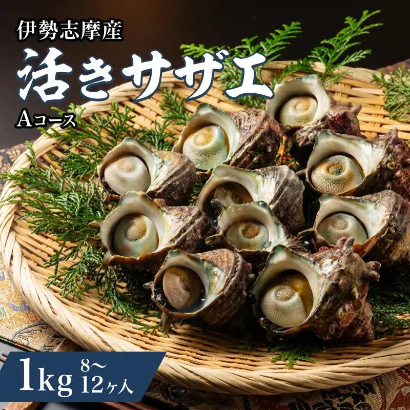 活きサザエ Aコース 1kg（8～12ヶ入り）山金商店 サザエ