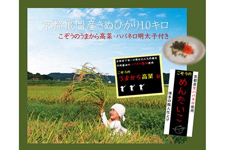 【新型コロナ被害支援】京都・亀岡産 きぬひかり 「こぞう米」 10kg ・めんたいこ＆うまから高菜付き《米 令和4年産 ご飯のお供 高菜 明太子 訳あり コロナ支援》※北海道・沖縄・離島への配送不可