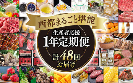 12月31日終了【季節の定期便】西都まるごと堪能セット　プレミアムコース　1年定期便　令和7年1月発送開始＜100-3＞ 