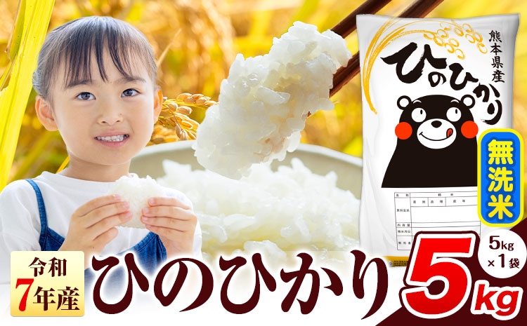 令和7年産 ひのひかり 無洗米 5kg 《7-14日以内に出荷予定(土日祝除く)》 熊本県産 無洗米 精米 氷川町 ひの 送料無料 ヒノヒカリ コメ 便利 ブランド米 お米 おこめ 熊本 SDGs--