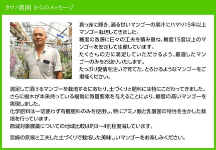 【令和9年発送】【宮崎県産完熟マンゴー】果実の宝石　4L×2玉 【 果物 フルーツ マンゴー 宮崎県産 みやざきマンゴー 先行予約 数量限定 期間限定 】