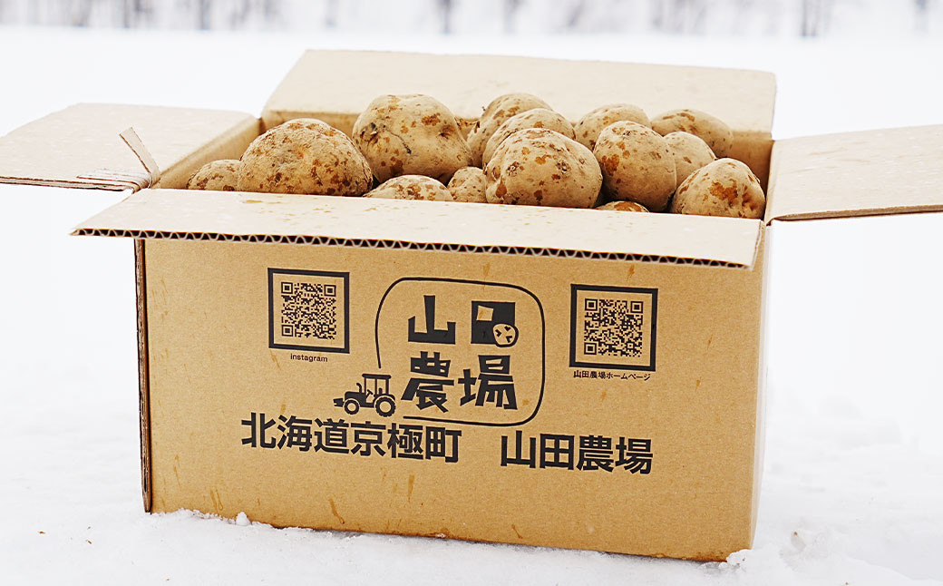 【訳あり】北海道産 じゃがいも キタアカリ M～2Lサイズ混載 約5kg 1箱 山田農場