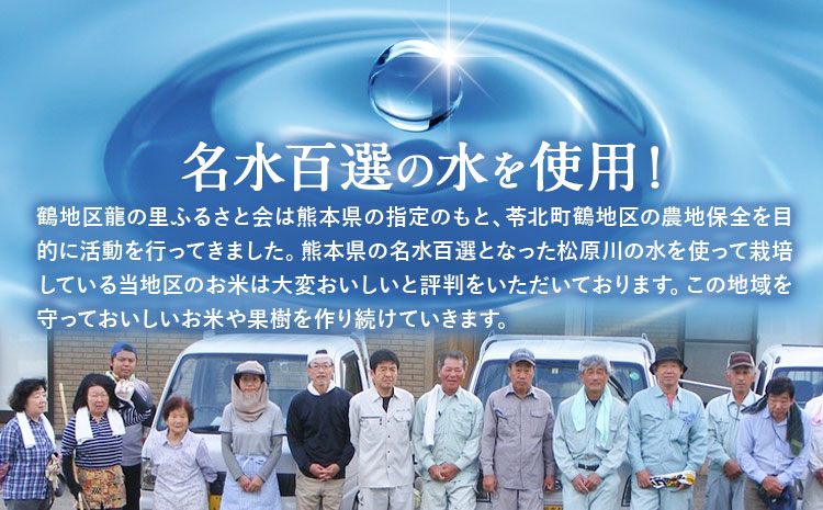 令和7年産 米 にじのきらめき​ 白米 5kg 鶴地区龍の里ふるさと会《30日以内に出荷予定(土日祝除く)》熊本県 天草 苓北町 鶴 地区 龍 の里 国産 九州 熊本 名水 百選 5キロ 10キロ 送