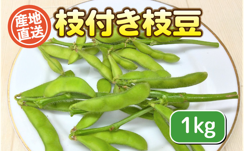 
            【先行予約】枝付き枝豆 ( 旬の野菜 野菜 産地直送 期間限定 人気 出荷時期限定  枝付き 枝豆 えだまめ おつまみ フレッシュ 健康志向 こだわり フレッシュ 緑黄色野菜 新鮮 安心野菜 旬 低カロリー 野菜 国産 お野菜 豊浦町 川棚 ) 下関 山口
          