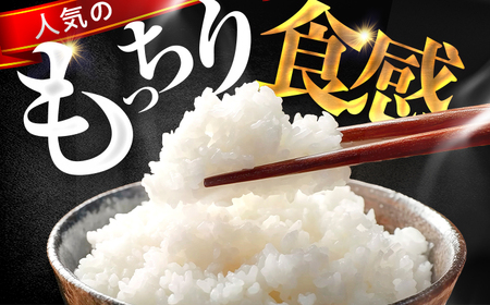 コシヒカリ 精米 10kg 小浜市産 こしひかり [BEEK001]