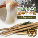 【ふるさと納税】山形県産 雪国育ち自然薯 生芋1本物 1.5kg（2～4本） F2Y-5113